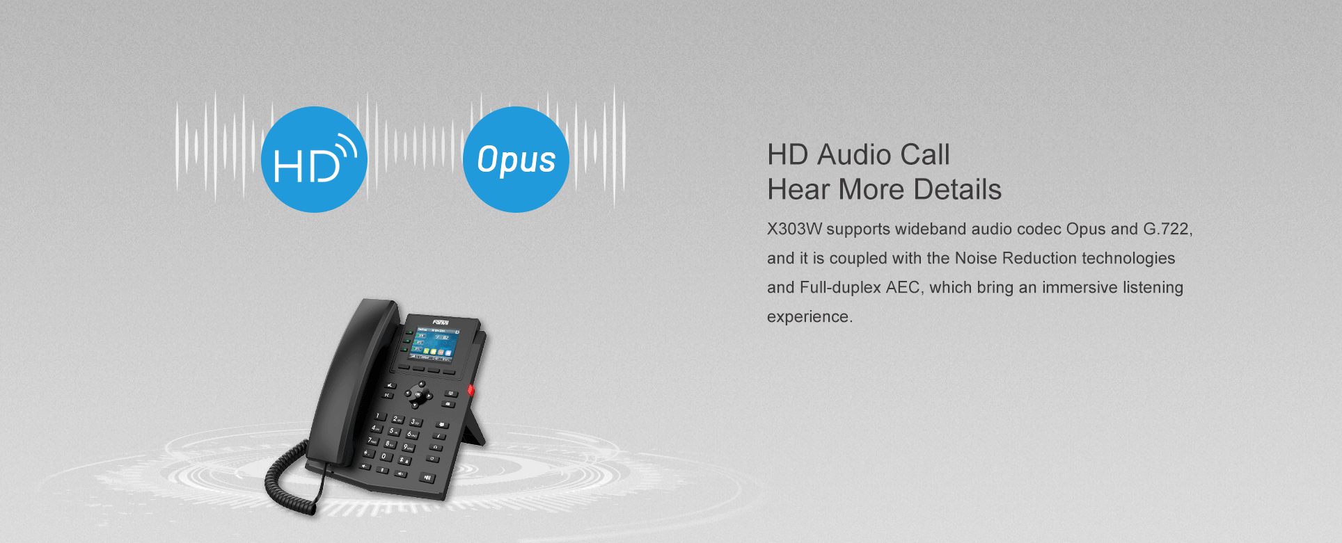 X303W Features
