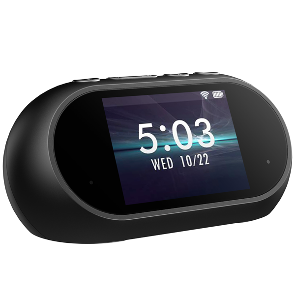 Fanvil i503W