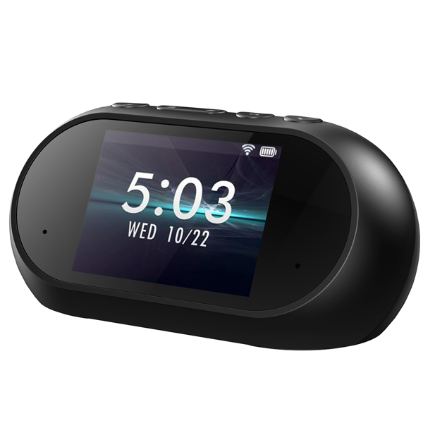 Fanvil i503W